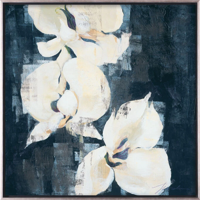 Shadow Orchids II Framed Canvas