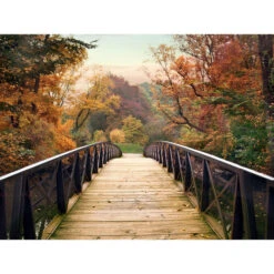 Autumn Encounter Wall Art