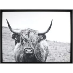 Staring Gaze Bull Wall Art