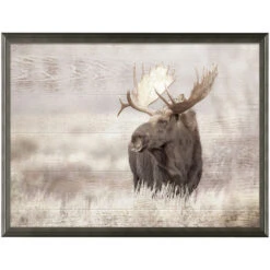 Moose Wall Art