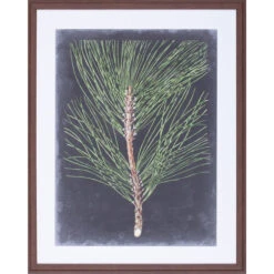 Dramatic Pine I Wall Art