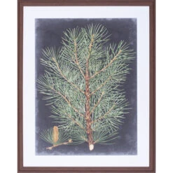 Dramatic Pine II Wall Art