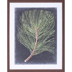 Dramatic Pine III Wall Art